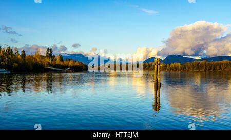 La réflexion sereine et créative dans la voie d'eau du canal à Bedford Brea Island à Fort Langley, Colombie-Britannique, Canada Banque D'Images