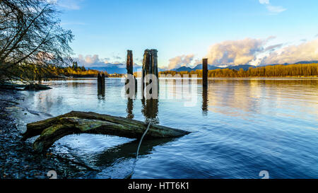 Couleurs d'automne entourant les eaux calmes du fleuve Fraser à l'île de Brea, Fort Langley, Colombie-Britannique, Canada Banque D'Images