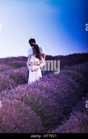 Reportage en Provence, entre les rangées de lavande, dans l'attente de collection Banque D'Images