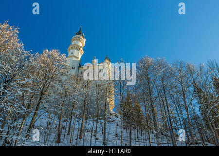 Gros plan sur le château de Neuschwanstein tôt le matin en hiver avec des arbres couverts de neige Banque D'Images