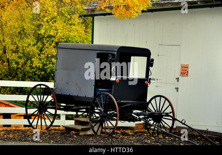 Lancaster, Pennsylvanie - 18 octobre 2015 : Amish traditionnelle au Buggy Amish Farm and House Museum * Banque D'Images