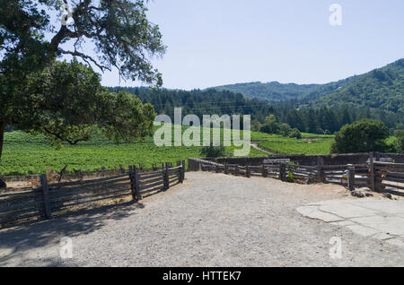 Jack London Park Banque D'Images