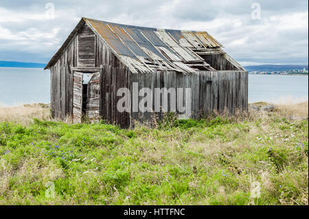 En bois ancienne cabine décrépite besoin de réparations avec toit endommagé et porte cassée Banque D'Images