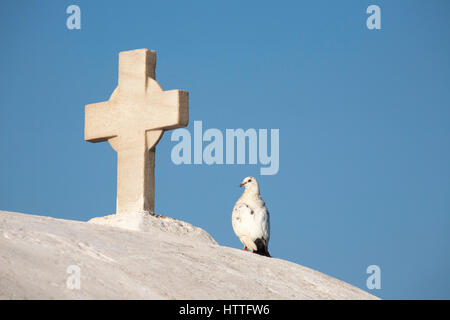 Colombe perchée à côté de la croix sur le toit de l'église grecque orthodoxe Panagia Paraportiani, dans la ville de Chora sur l'île de Mykonos Banque D'Images