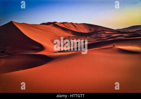Lever du soleil dans le désert du Sahara. Banque D'Images