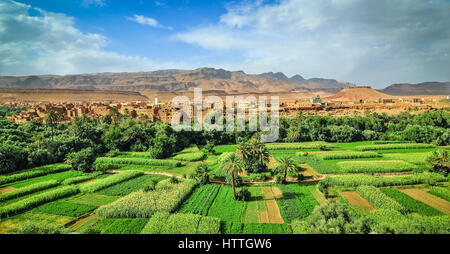 Une oasis dans le désert du Maroc Banque D'Images