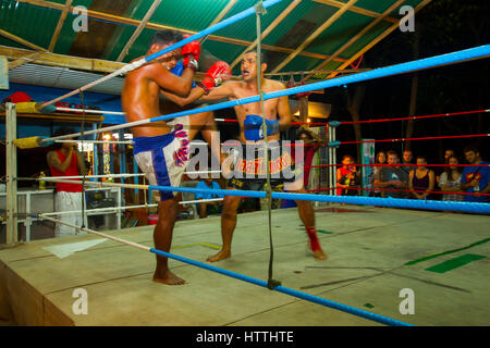 Combat de Muay Thai. Banque D'Images