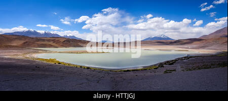 Laguna Honda au sud Lipez Altiplano reserva Eduardo Avaroa, Bolivie Banque D'Images