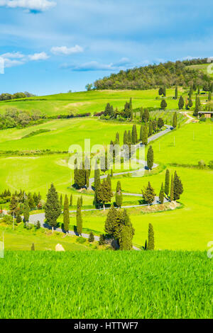 Route sinueuse dans la vallée de l'Orcia, Sienne, Toscane, Italie Banque D'Images