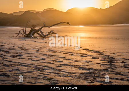 Wharariki Beach, South Island, New Zealand Banque D'Images