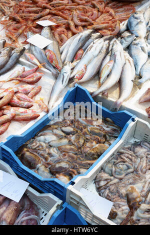 Poulpe commun (Octopus vulgaris) et le poisson en vente dans le marché aux poissons de Catane, Catane, Sicile, Italie Banque D'Images