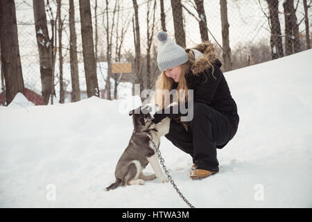 Woman petting jeune chien de Sibérie Banque D'Images