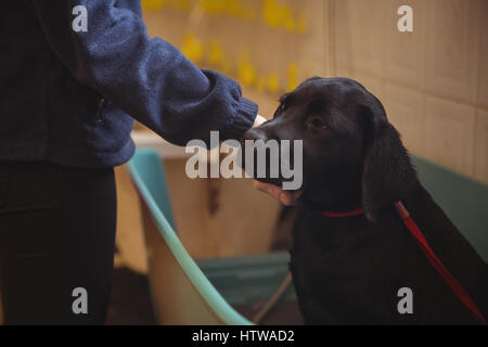 Woman holding dog in bathtub Banque D'Images