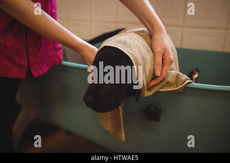 Woman bathing un chien dans la baignoire Banque D'Images
