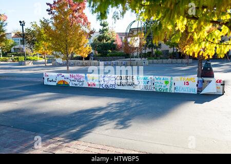 Protestation manuscrite des affiches pour diverses causes, y compris Black Live, droits LGBT, Standing Rock et les droits des femmes sur un quad à l'Université de Stanford dans la Silicon Valley ville de Stanford, Californie, le 13 novembre 2016. Banque D'Images