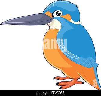 Cartoon smiling Kingfisher Illustration de Vecteur