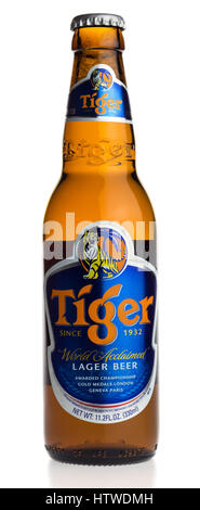 Bouteille de bière Tiger Singaporese isolé sur fond blanc Banque D'Images