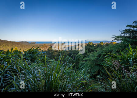 Far North Queensland, Australie Banque D'Images