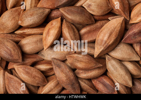 Les pili de l'Unshelled écrous du châssis complet aux Philippines Banque D'Images