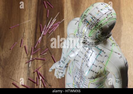 Modèle d'acupuncture femme sur fond de bois Banque D'Images