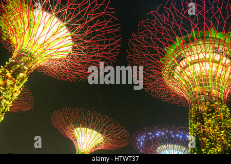 Des structures de type arbre appelé supertrees qui sont les jardins verticaux, éclairé la nuit, situé dans les jardins de la baie, la Marina Bay, Singapour. Banque D'Images