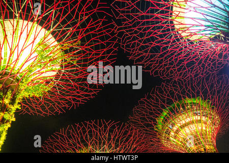 Des structures de type arbre appelé supertrees qui sont les jardins verticaux, éclairé la nuit, situé dans les jardins de la baie, la Marina Bay, Singapour. Banque D'Images