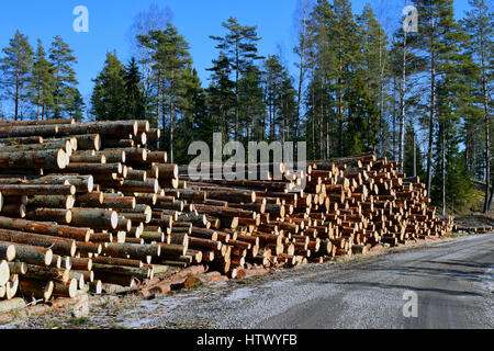 Pile de grumes par le côté de la route. Banque D'Images