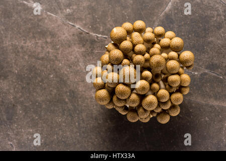 Champignons Champignons Shimeji brun comme arrière-plan de l'alimentation Banque D'Images