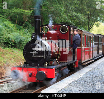 No2 Dolgoch dans Crimson Lake livery tête sur le chemin de fer Talylyn, Tywyn, Pays de Galles, de l'Europe Banque D'Images