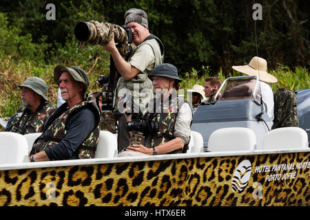 Les touristes prendre des photos d'une Jaguar dans le Pantanal du Mato Grosso. C'est l'une des zones les plus fous au Brésil et attire de nombreux touristes Banque D'Images