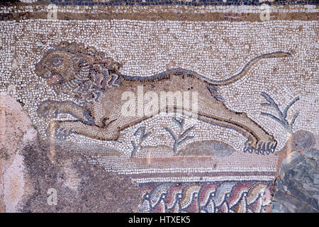 Mosaïque romaine dans la maison de Thésée, Nea Paphos, Chypre. Banque D'Images