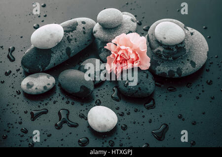 Un règlement pacifique comme zen B&W image de rochers et de fleurs avec des gouttes d'eau. Banque D'Images