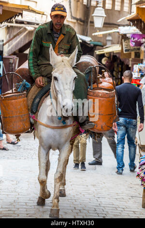 Fes, Maroc. Scène de rue à la médina. Les bêtes de somme nécessaire car les rues sont trop étroites pour les véhicules à moteur. Celui-ci transporte du gaz en bouteille. Banque D'Images