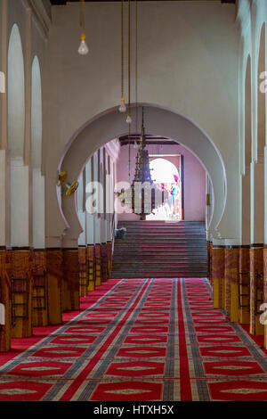 Fes, Maroc. La mosquée andalouse, Fès El-Bali. Banque D'Images