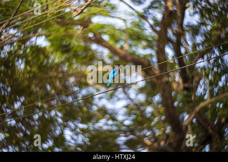 Fonds d'écran abstrait avec de l'huile du lait et de l'eau Banque D'Images