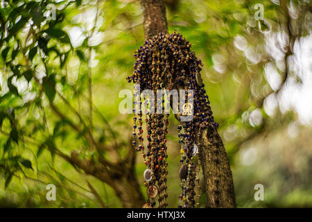 Fonds d'écran abstrait avec de l'huile du lait et de l'eau Banque D'Images