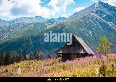 Vue d'été à Hala Gąsienicowa en vallée, Tatras Zakopane Pologne Banque D'Images