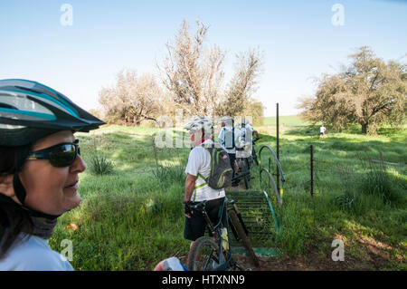 Un groupe de cyclistes contry croix loisirs avec des vêtements de protection. Photographié désert du Néguev, Israël Banque D'Images