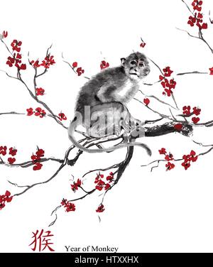 Carte de vœux vecteur année de singe. Un singe assis sur une branche de fleur de cerisier, la peinture d'encre d'orient. Avec 'Monkey' hiéroglyphe chinois Illustration de Vecteur