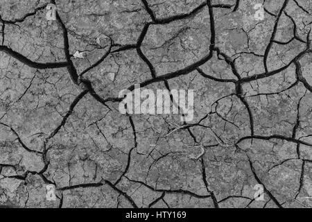 Photographie en noir et blanc de la terre avec des fissures Banque D'Images