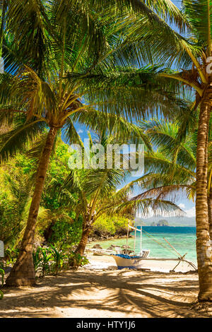 Banca traditionnels voile à l'ombre des palmiers sur la plage près de Cudugnon Grotte, l'île de Palawan, El Nido, Philippines Banque D'Images