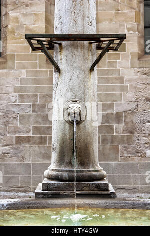 Fontaine sur une colonne en pierre. Face Lion robinet. Banque D'Images