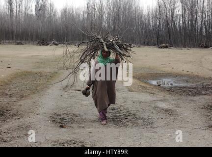 Srinagar, Inde. Mar 15, 2017. Cachemiris femme transportant des troncs sur sa tête le Mercredi, Mars 15, 2017, dans la banlieue de Srinagar, dans le Cachemire sous contrôle indien. Credit : Umer Asif/Pacific Press/Alamy Live News Banque D'Images