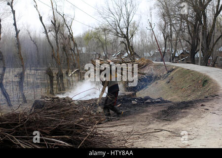 Srinagar, Inde. Mar 15, 2017. Un homme portant des bois de feu pour son usage domestique le Mercredi, Mars 15, 2017, dans la banlieue de Srinagar, dans le Cachemire sous contrôle indien. Credit : Umer Asif/Pacific Press/Alamy Live News Banque D'Images