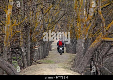 Srinagar, Inde. Mar 15, 2017. Un pilote de vélo dans l'étroit chemin temporaire le Mercredi, Mars 15, 2017, dans la banlieue de Srinagar, dans le Cachemire sous contrôle indien. Credit : Umer Asif/Pacific Press/Alamy Live News Banque D'Images