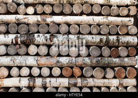 Vieux Mur de grumes de bouleau Banque D'Images