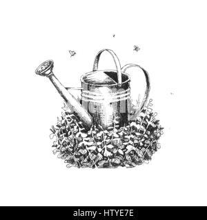 Arrosoir de jardin dans l'herbe. Croquis dessinés à la main, Banque D'Images
