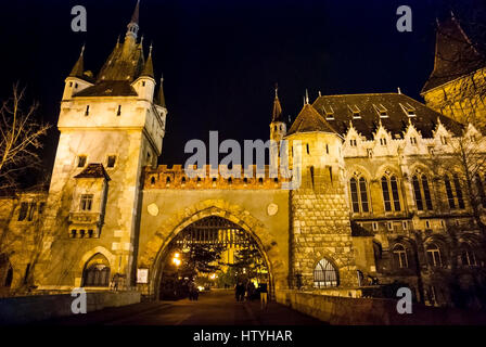 Château Vajdahunyad la nuit à Budapest, Hongrie. Banque D'Images