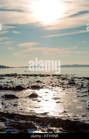 Fjord gelé en hiver, soleil scandinaves Norvège Banque D'Images