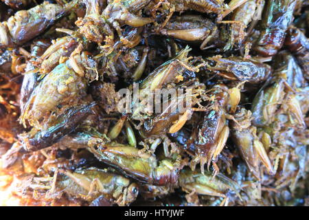 Les sauterelles frites sur un marché de rue au Cambodge. Banque D'Images